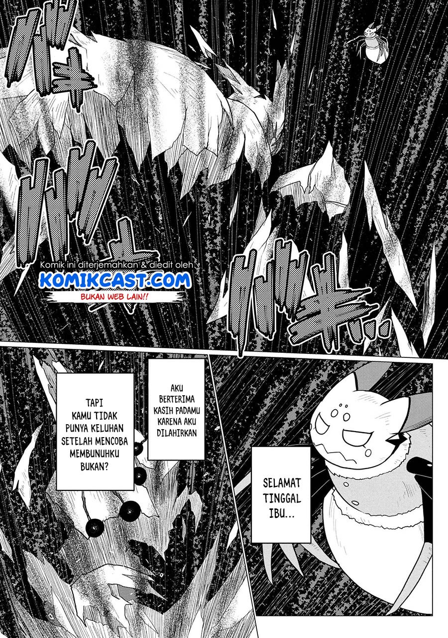 Kumo desu ga, Nani Ka?
